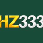 hz333 game